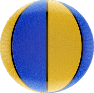 Golden State Warriors Seal